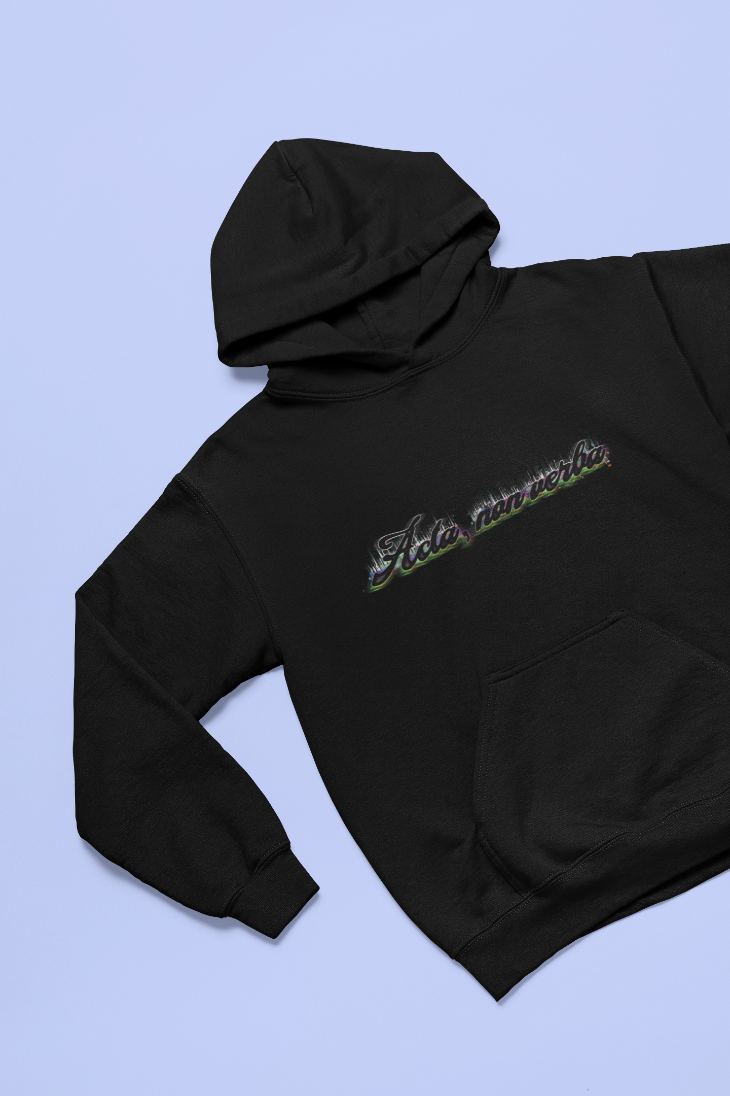 Acta, non verba hoodie
